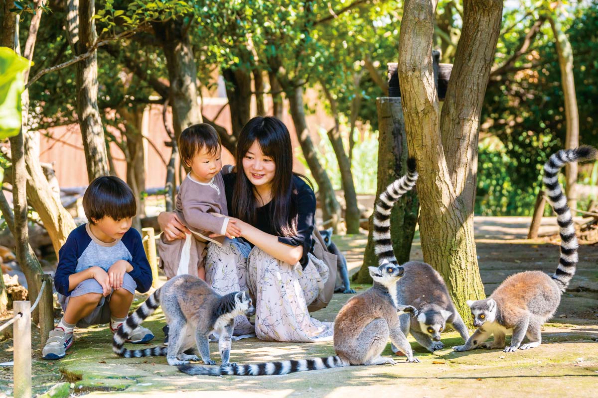 ファミリーハイキング 12月17日（土）開催！神戸大橋を渡って神戸どうぶつ王国へ！