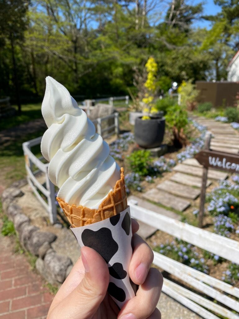 ミルクカフェでいただくソフトクリーム