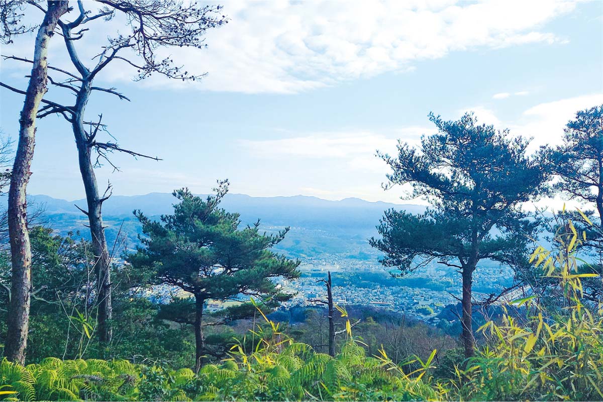 12月1日（木）開催。のせでん第1木曜ハイキング 身近な里山を登ってみる 湯山台・大平山・多田神社コース