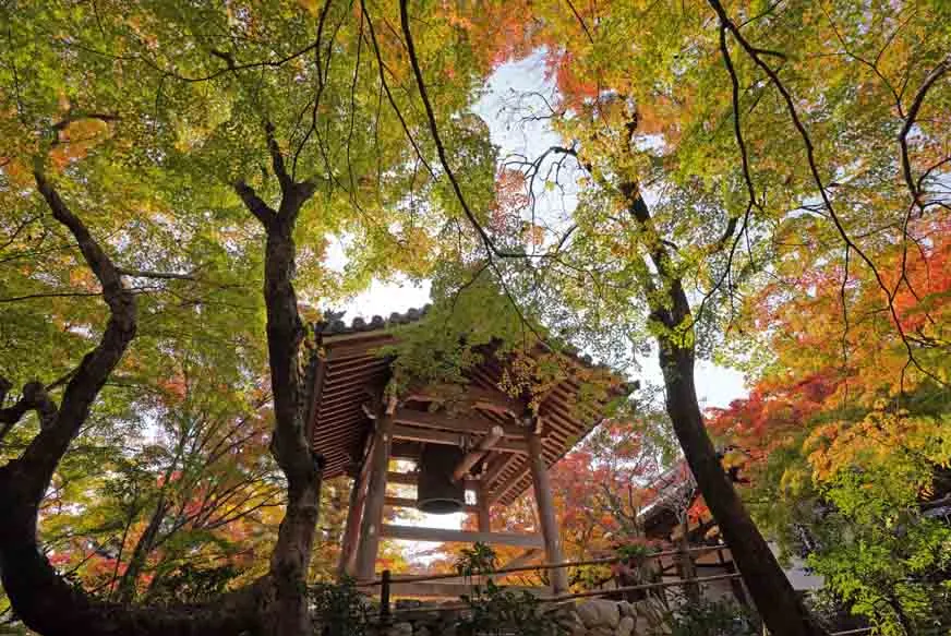 常寂光寺の紅葉
