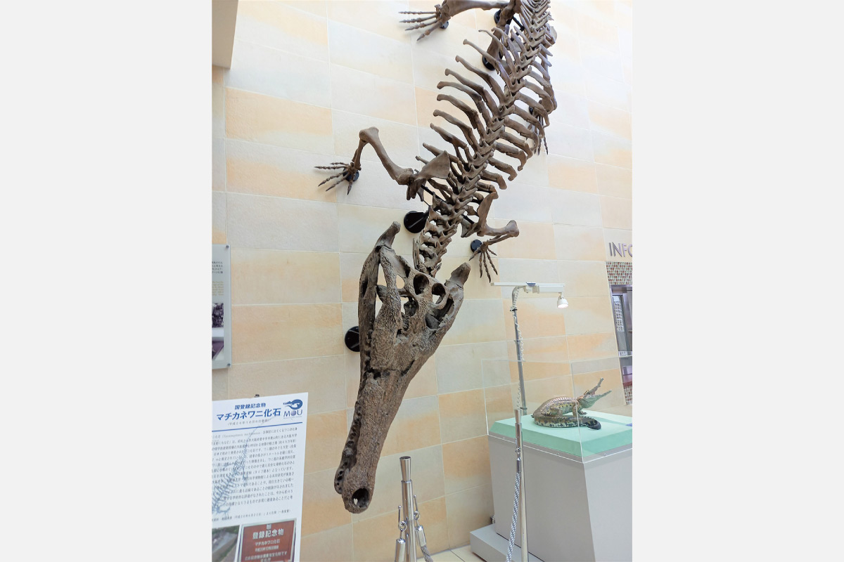 北摂エリアで冬の健康ウオーキング！北急・のせでん・阪急 スカイハイキング 2月25日（土）開催