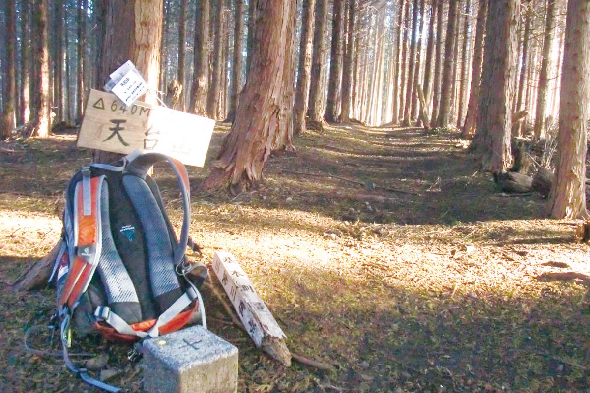 3月18日（土）のせでん三角点ハイキング開催。春を感じながら思いっきり山歩きを愉しむ「青貝山・天台山・能勢妙見山コース」