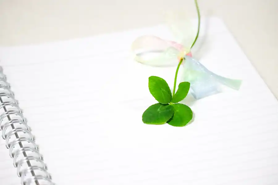 四葉のクローバー