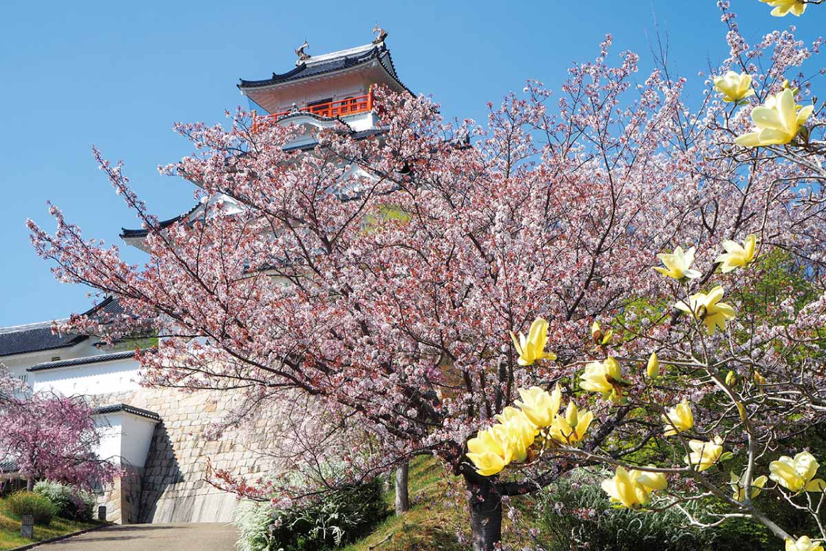 能勢電鉄妙見線延伸100周年！朝日・おおさか南北ウオーク 第2回 「一の鳥居から山下・妙見口コース」4月15日（土）開催