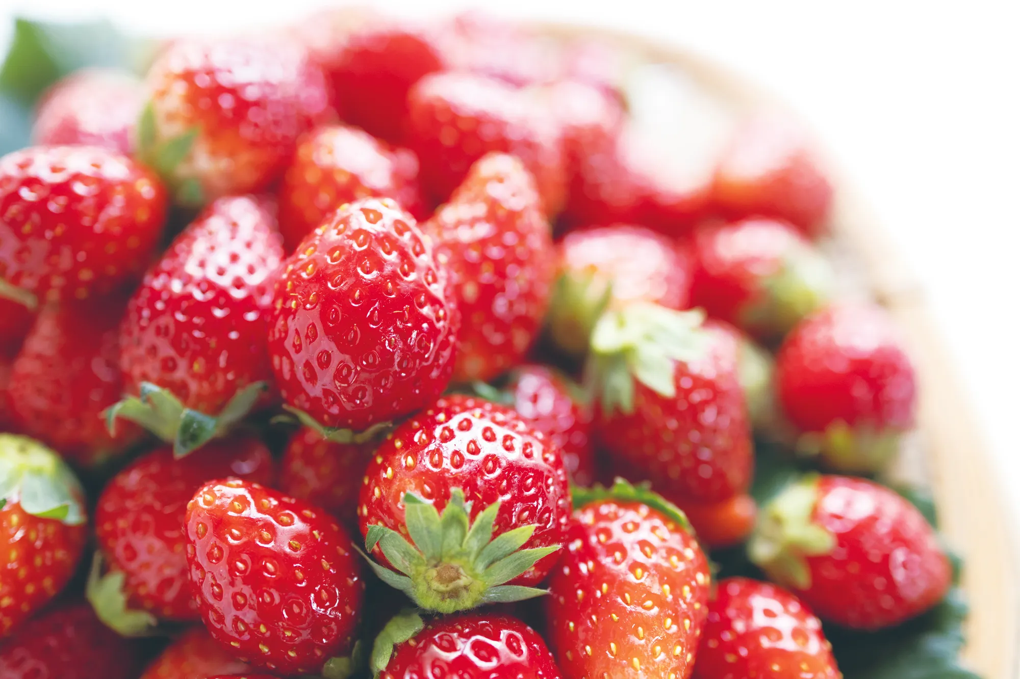 阪急三番街でブランドいちごを食べよう！上高地あずさ珈琲いちごフェア開催中