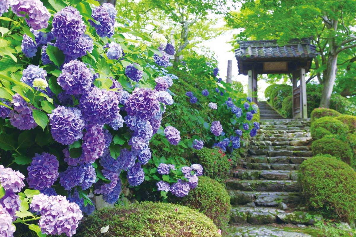 休日は話題のスポットへ。6月25日～7月1日のイベント情報