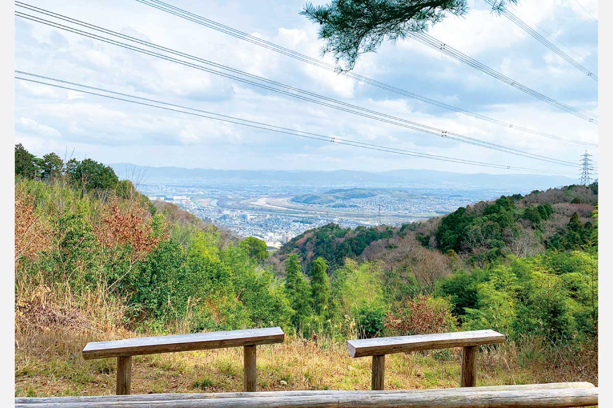 6月21日（水）開催！阪急ピークハントハイキング（2）若山315・若山神社コース