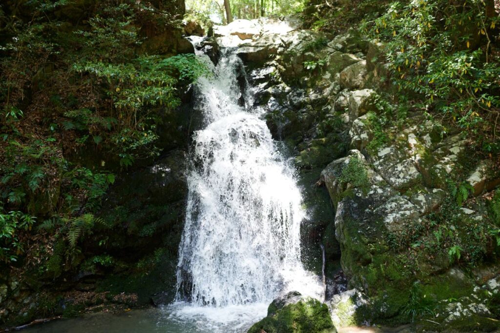 清涼感溢れる滝