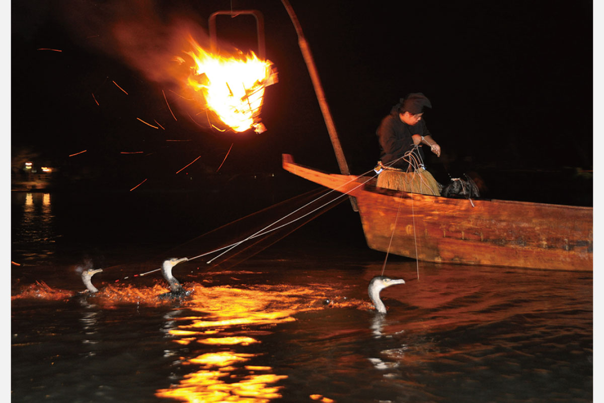 「嵐山の鵜飼（うかい）」7月1日から。千年前からの伝統的な漁法を船上から鑑賞