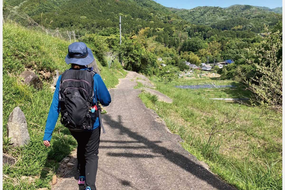 のせでん第1木曜ハイキング 7月6日（木）開催！良寛さんも訪れた女人高野の古寺へ