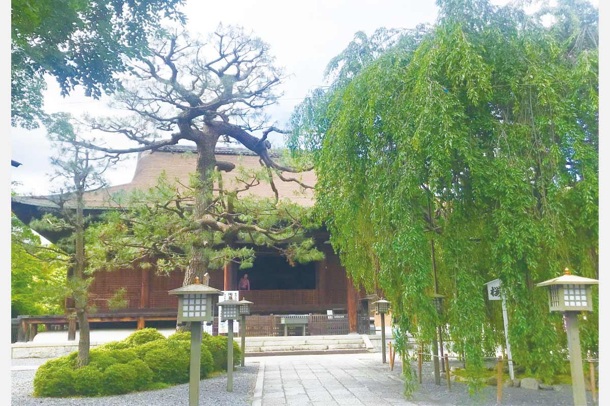 陶器に感謝し、恒例の大陶器市へ。千本釈迦堂「陶器供養会・陶器市」7月9日（日）～12日（水）開催