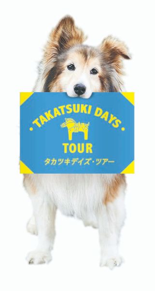 ツアーガイドのシェットランドシープドッグ