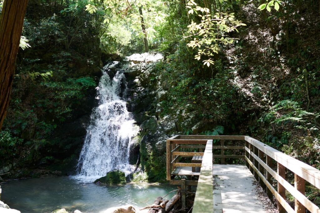 高さ10ｍほどの滝が流れる様子