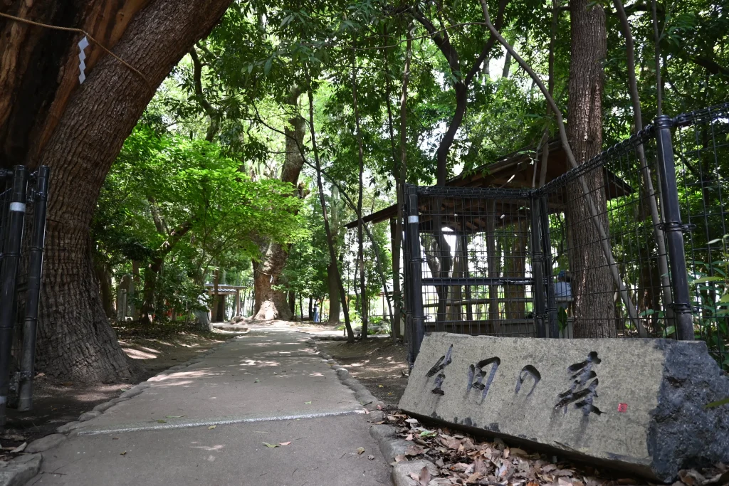 生田神社　生田の森