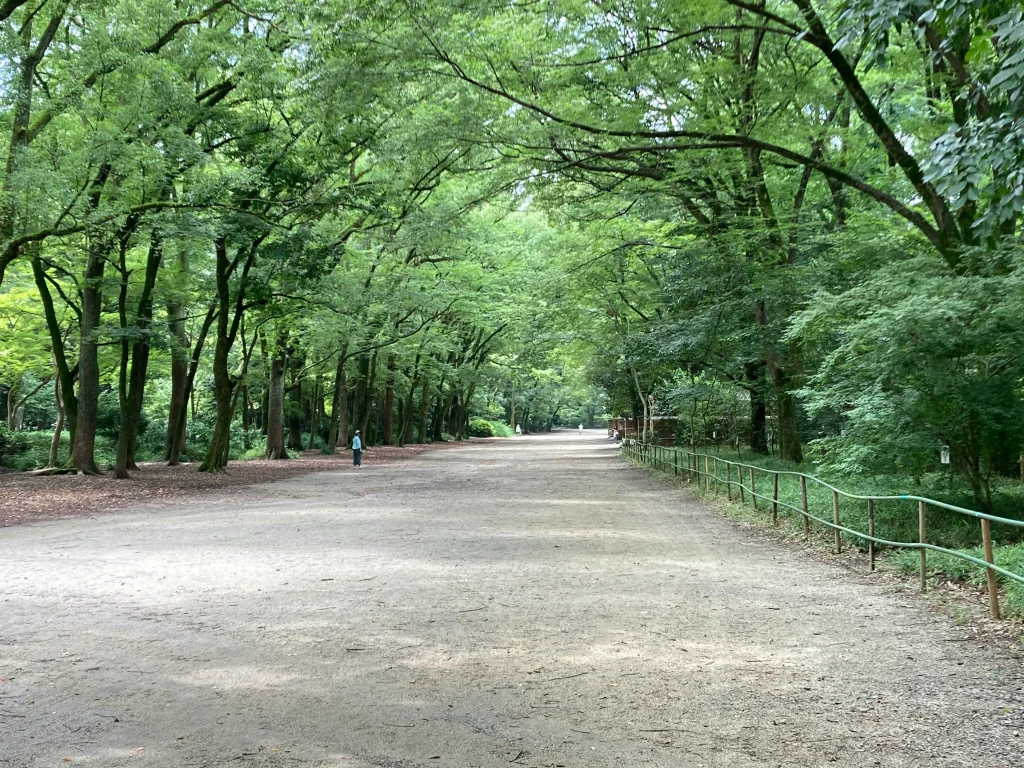 下鴨神社 糺の森馬場