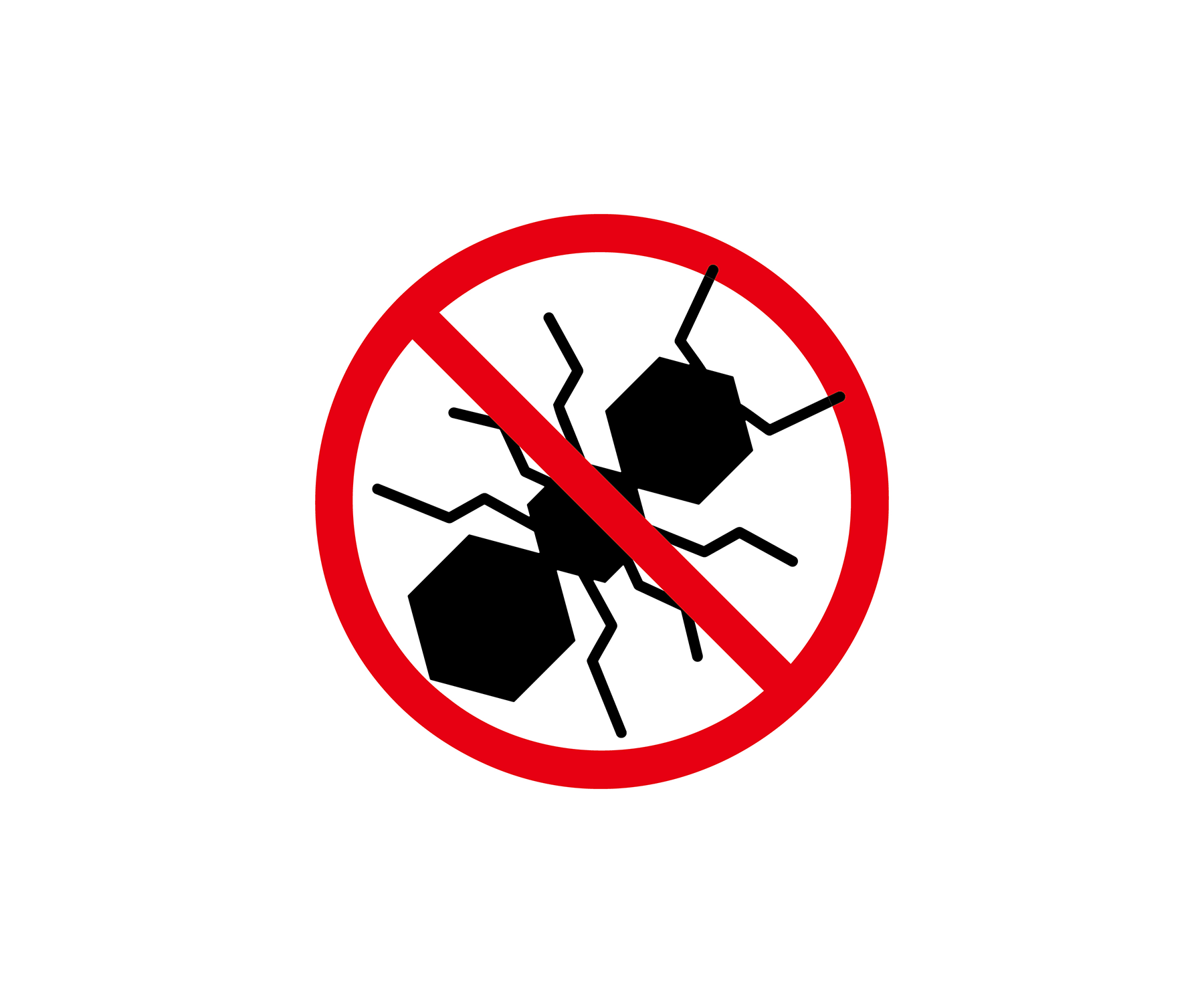 【最新版】室内のアリ退治（蟻退治）を家にあるもので安全に対策する最強のおすすめ方法！