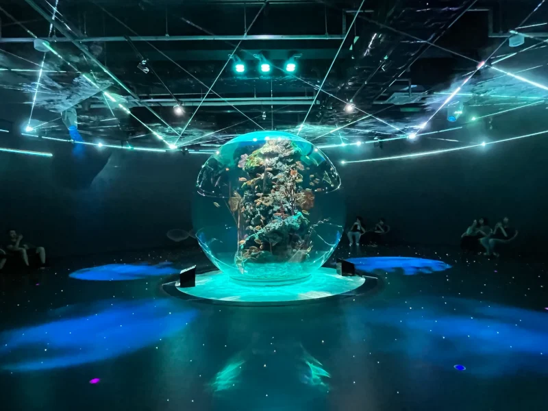 「AQUARIUM×ART átoa（アトア）」は絶対行きたい神戸の新名所！