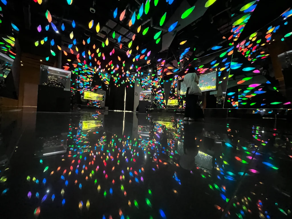 átoa(アトア)「CAVE はじまりの洞窟」