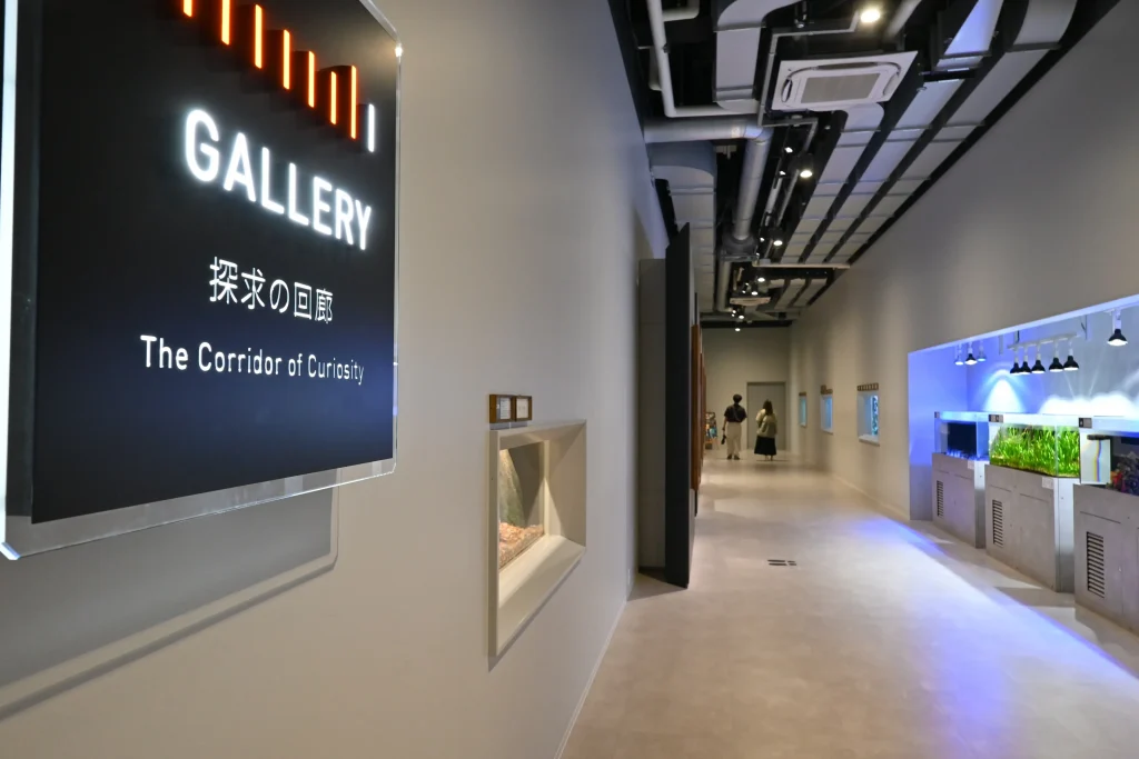 átoa(アトア)「GALLERY 探求の回廊」