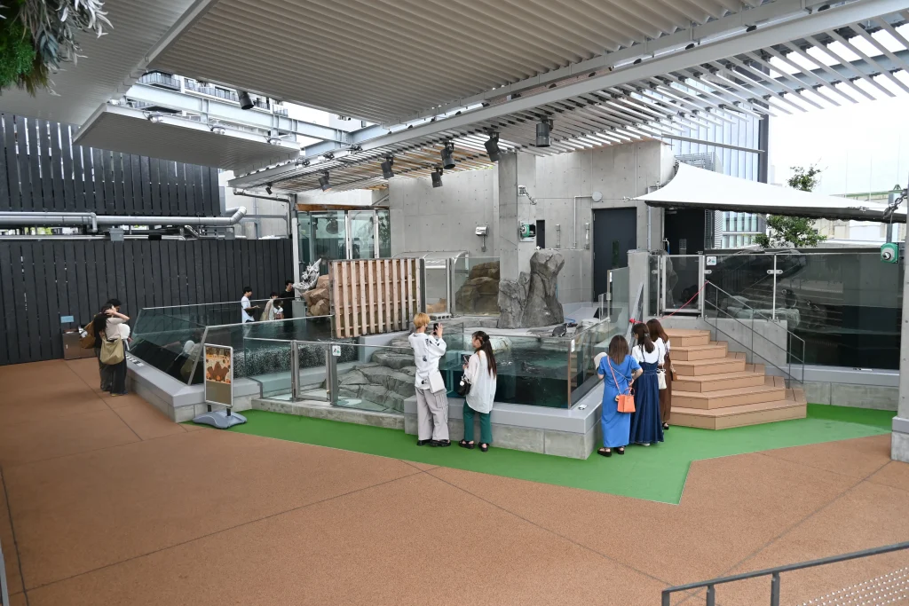 átoa(アトア)「SKYSHORE 空辺の庭」