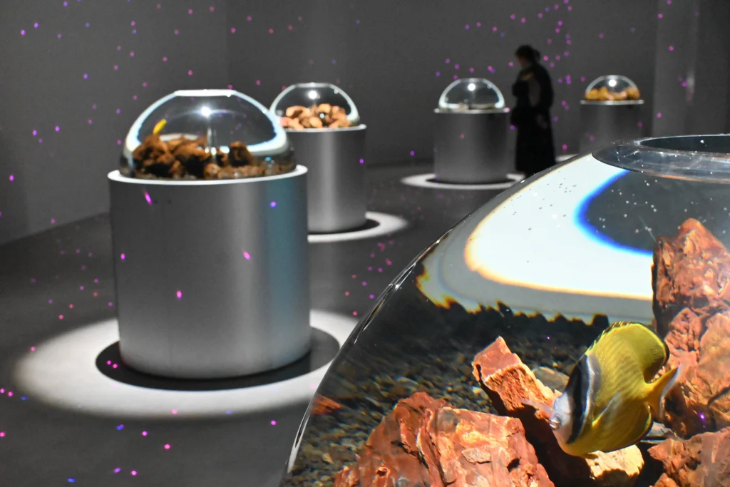 átoa(アトア)「PLANETS 奇跡の惑星」