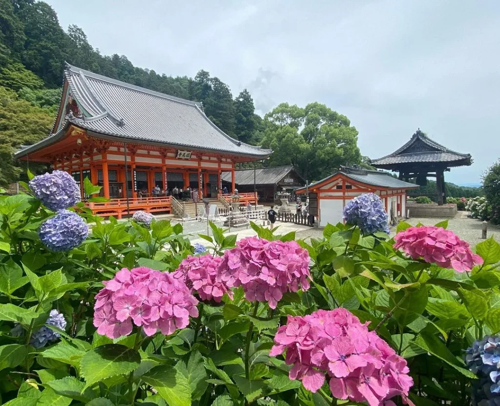 要クレジット　写真／@pukuchandesuさん（勝尾寺Instagram「勝ちフォトコンテスト」より）