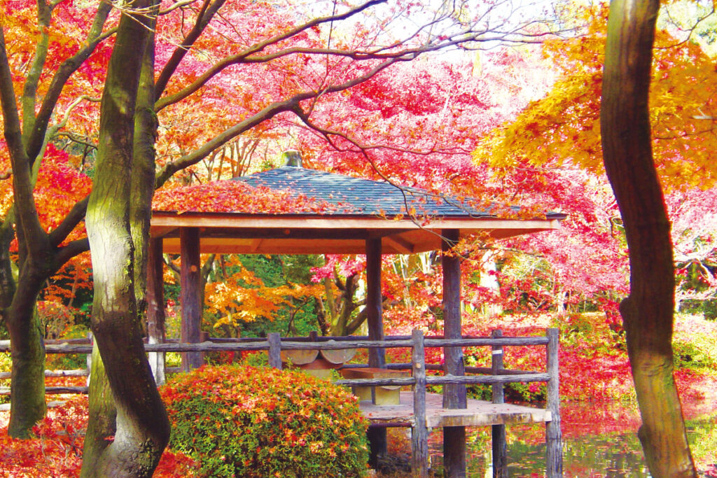 京都府立植物園