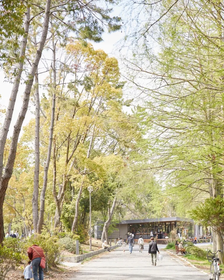 メタセコイア並木の奥のバードツリー