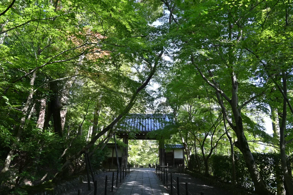 光明寺　もみじ参道