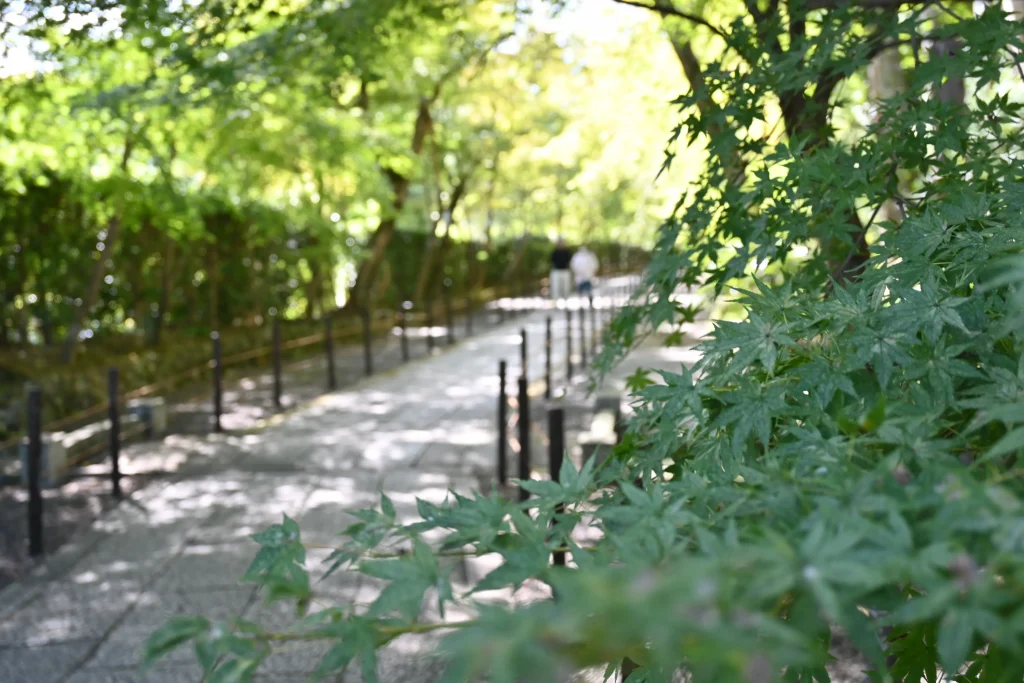 光明寺　もみじ参道入口