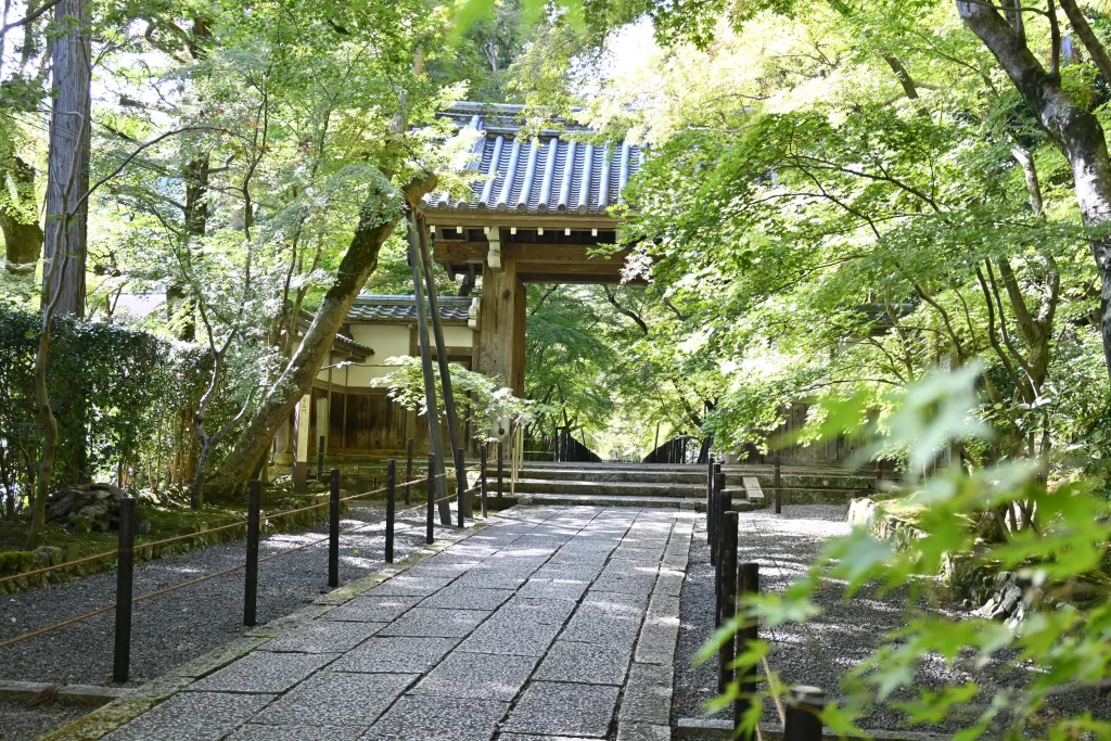 光明寺　もみじ参道薬医門