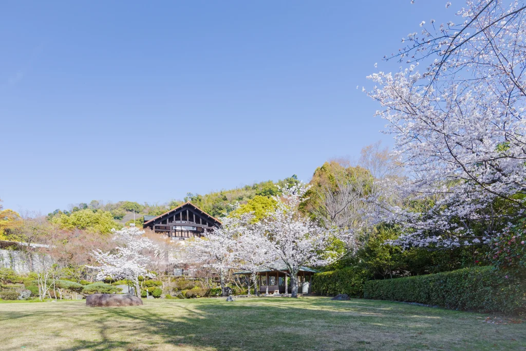 大山崎山荘美術館　桜