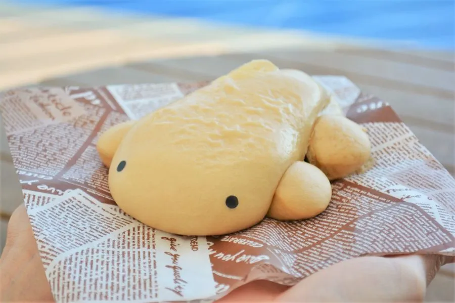京都水族館のカフェで売っているオオサンショウウオ肉まん