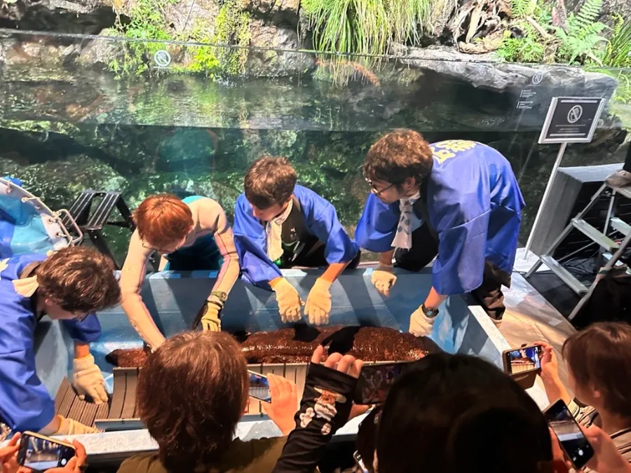 京都水族館のオオサンショウウオの日 測定会のようす