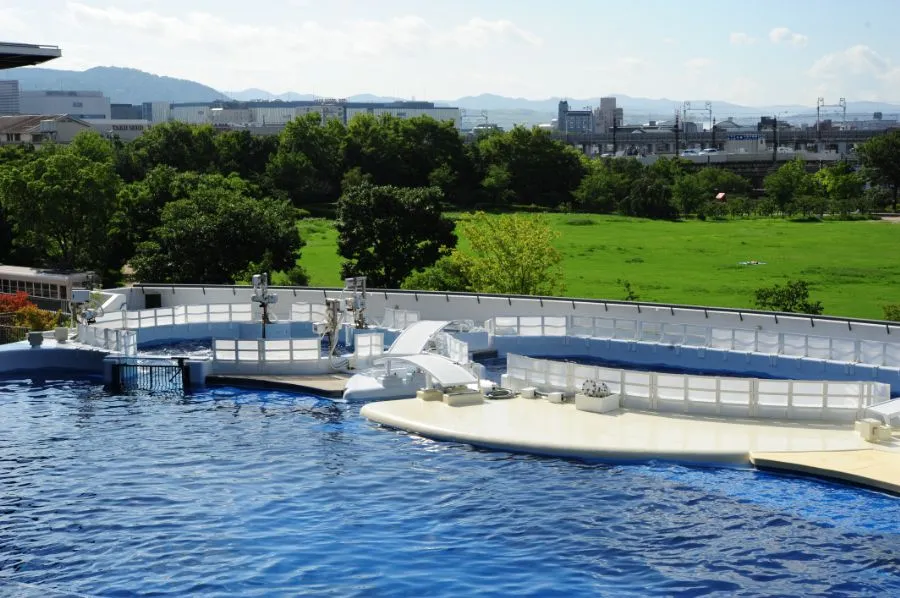 京都水族館のイルカスタジアム全景