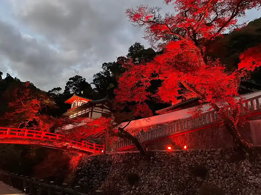 ライトアップされた瀧安寺