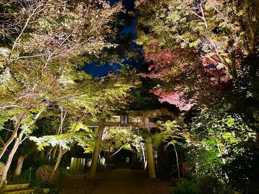 ライトアップされた箕面西江寺