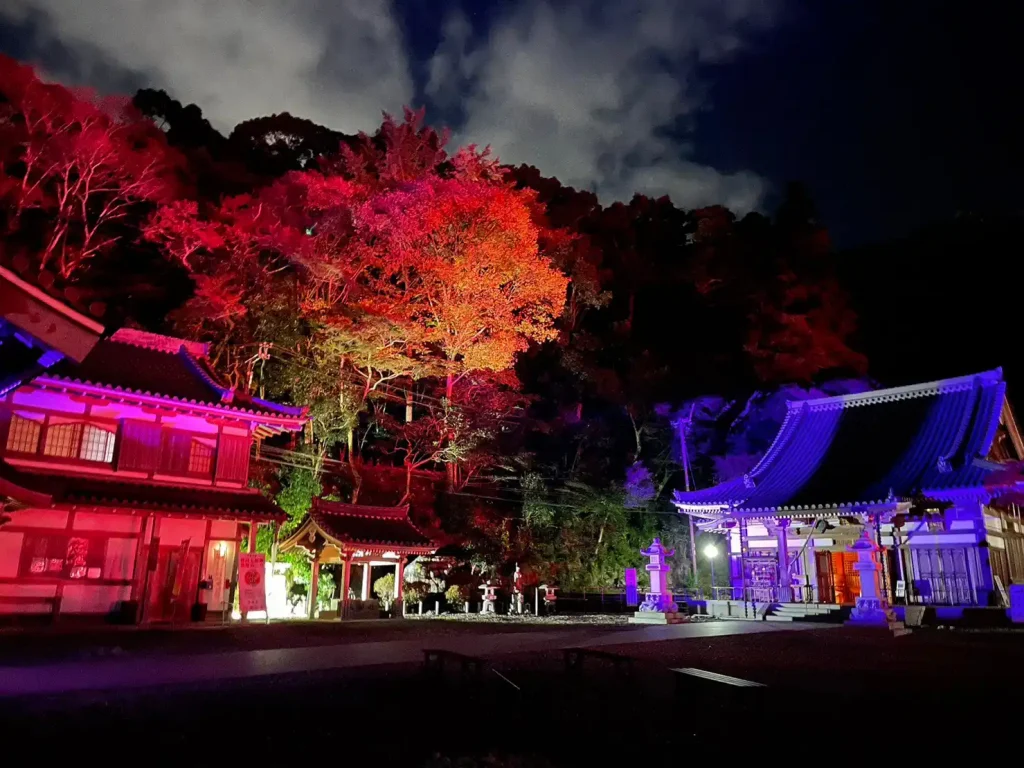 ライトアップされた瀧安寺