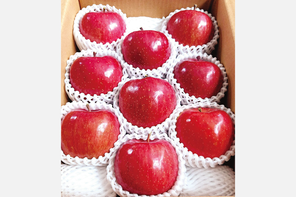 プレミアムなりんごをSポイントと交換！交換受付日：2024年1月8日（祝）まで