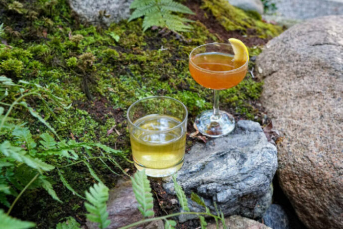 京都の“紅葉の隠れ寺”浄住寺で味わうティーペアリング茶房が今秋限定オープン！