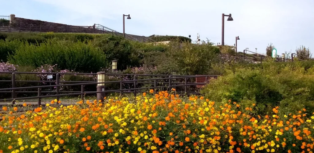伊丹スカイパーク　中央エントランス