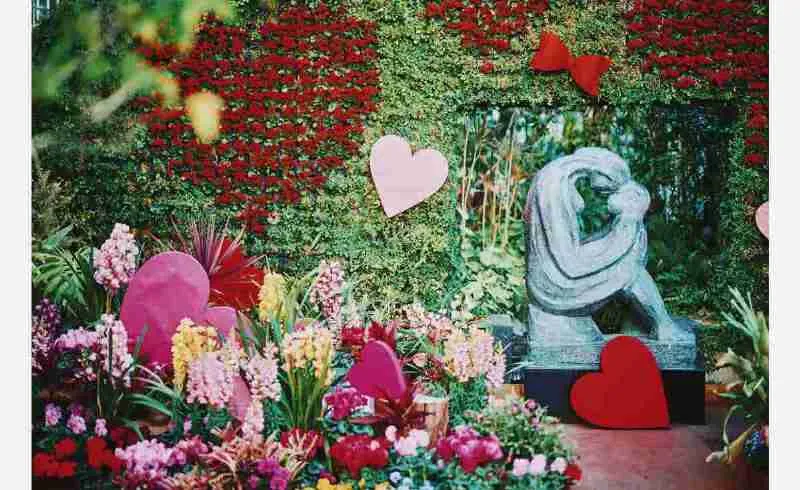 【1/6～神戸でほっこり温まる冬】神戸布引ハーブ園で「Winter Garden Fair 2024」開催