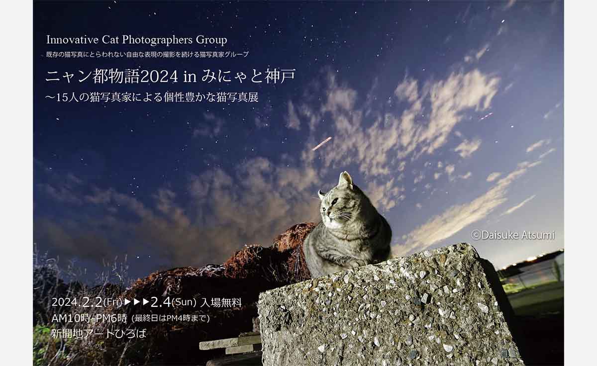 【猫写真展】兵庫でグループ写真展『ニャン都物語2024inみにゃと神戸』が開催！＠新開地アートひろば
