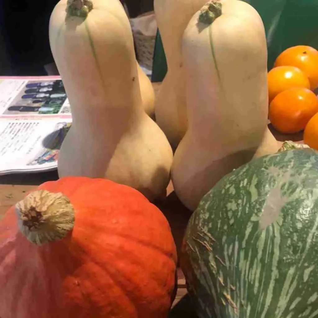 オーガニックショップ栞　自社農園で栽培された野菜