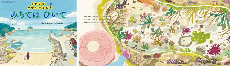 自然史のイラストレーション 大阪市立博物館