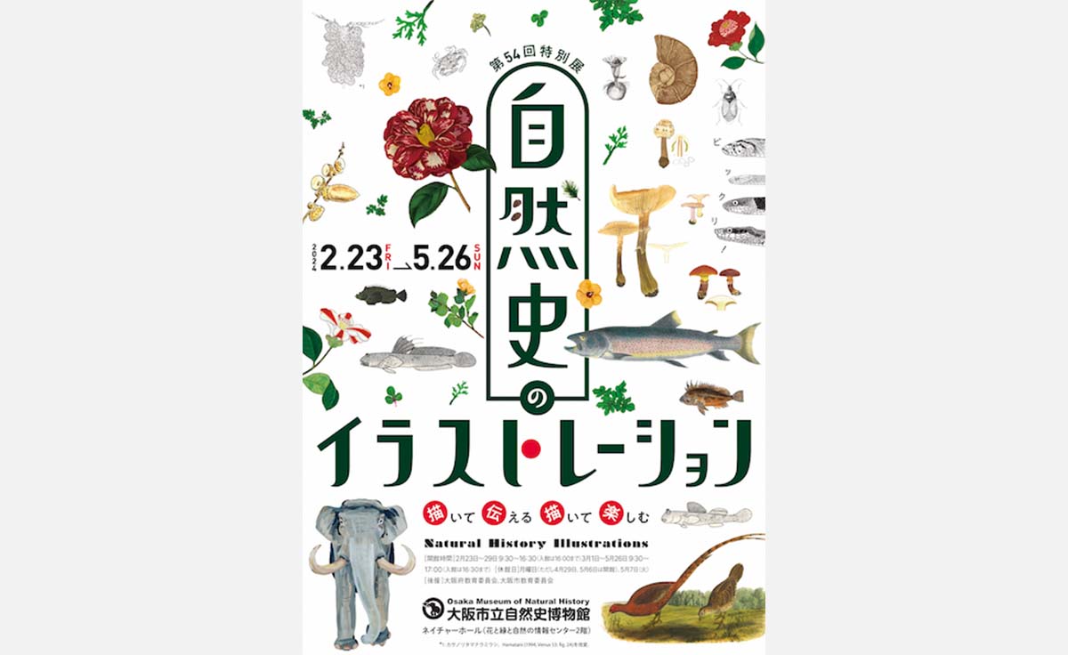 【大阪市立自然史博物館】第54回特別展「自然史のイラストレーション ～描いて伝える・描いて楽しむ～」が開催！