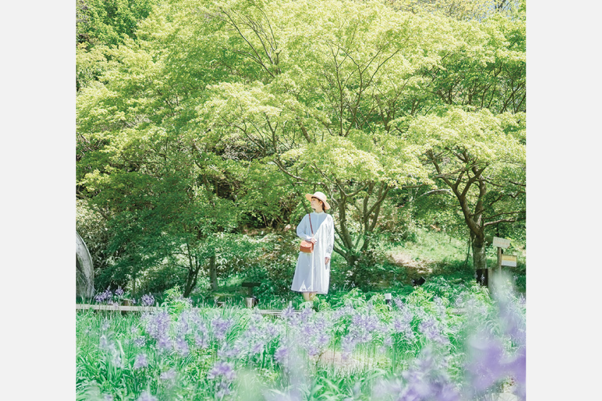 六甲山の自然の中で癒やされよう「30th Anniversary 森の音ボタニカルフェア」、6月30日（日）まで開催中