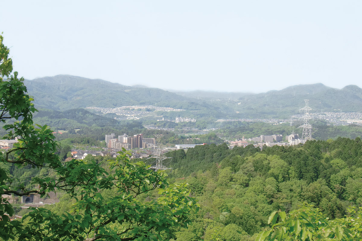 のせでん春らんまんハイキング 4月20日（土）開催！春の陽気に誘われて「光風台から知明山・一庫ダムコース」