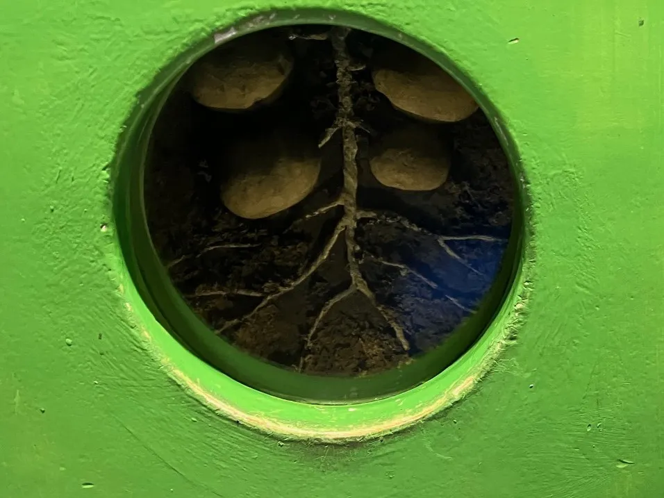 神戸アンパンマンミュージアム＆モール　たんけんランド