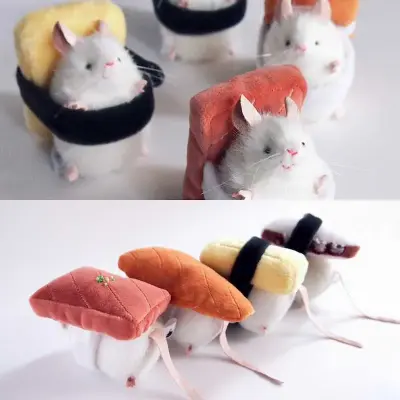 スススシ展に出展する三角ユウリの寿司ぬいぐるみ